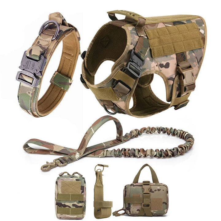 Harnais anti-traction pour chien avec système Molle. Robuste et réglable, parfait pour entraînement et aventure canine.