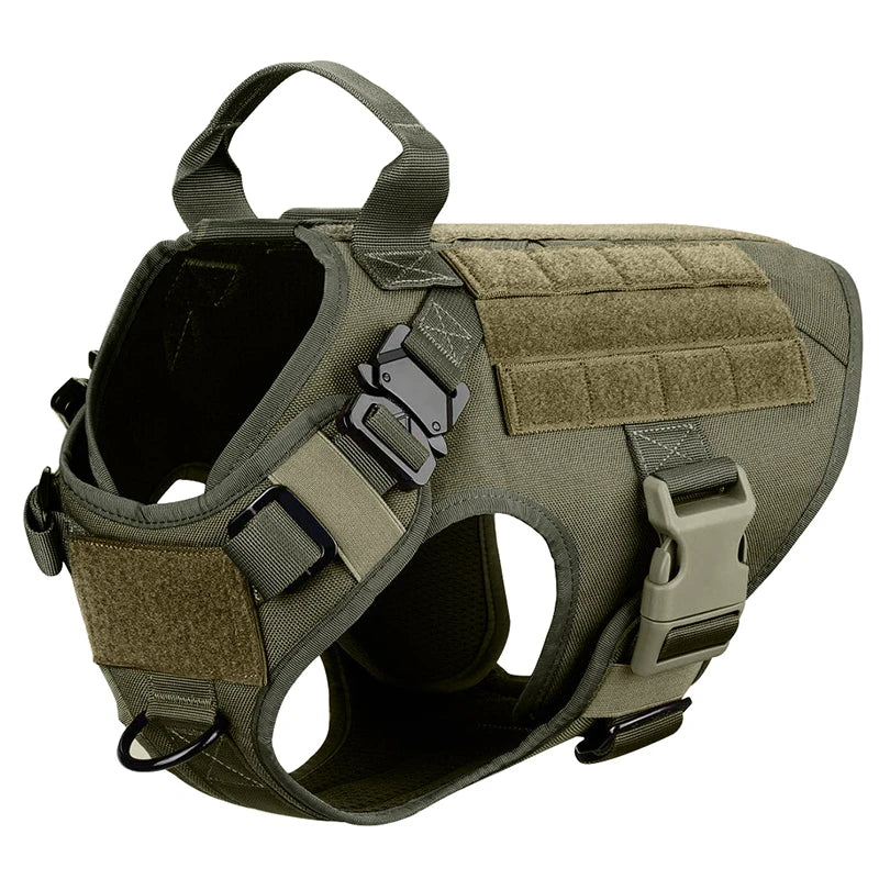 Harnais chien extérieur en nylon robuste pour aventure. Anti-traction et réglable, assure sécurité & confort canin.