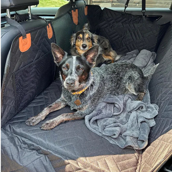 Siège auto chien grand luxe, avec base en mousse mémoire pour un confort et une sécurité inégalés.