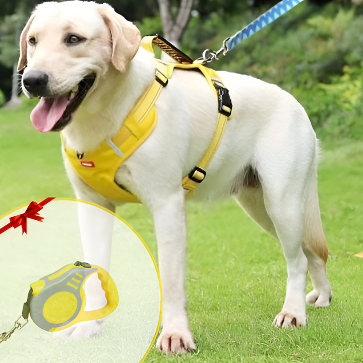 Harnais anti-tirage respirant pour chien, maille douce, confort optimal et sécurité en promenade. Idéal pour chiots/adultes.