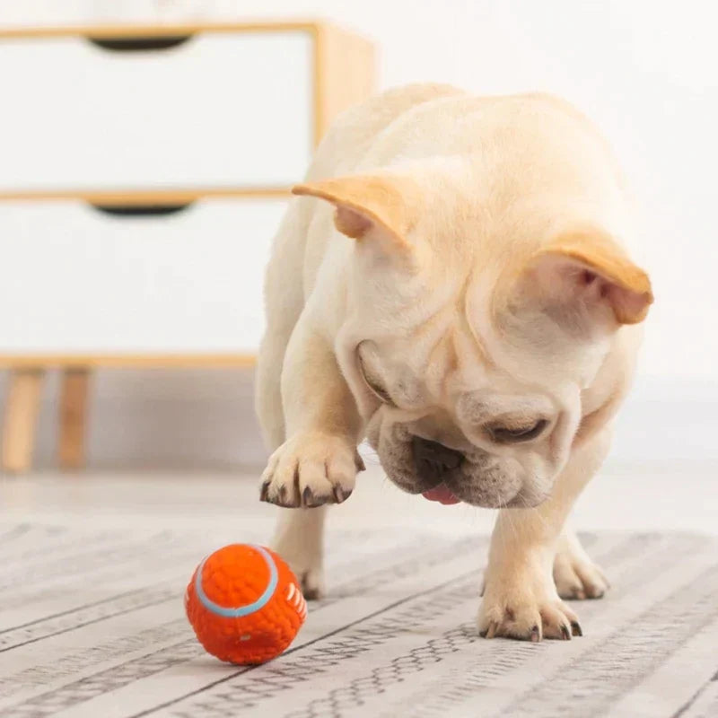 Accessoire chien robuste en latex, idéal pour le divertissement animal.