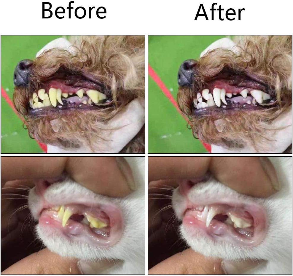 Prévention gingivite/tartre : brosse à dents pour animaux. Gardez les dents de votre chien saines, haleine fraîche.