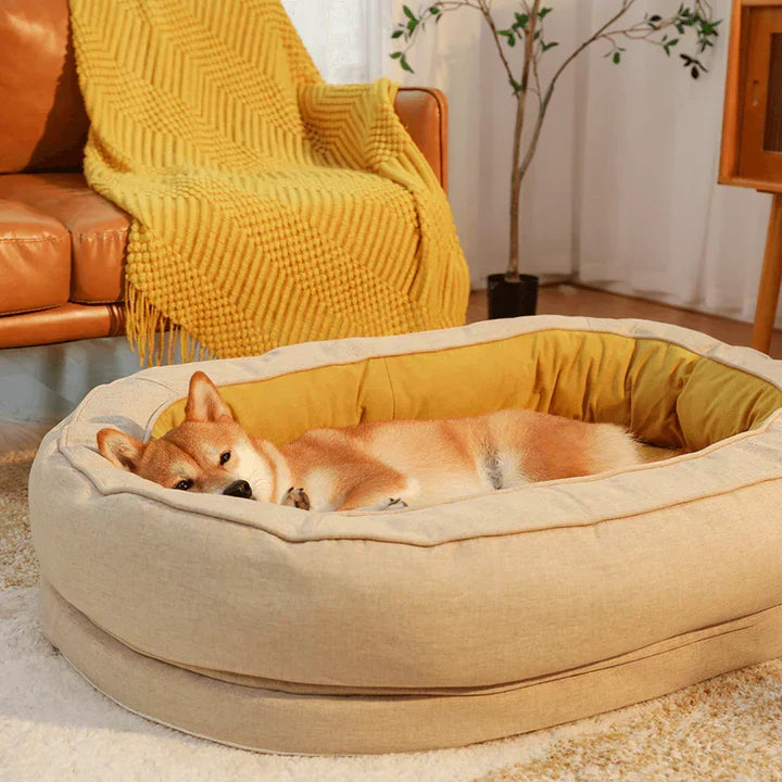 Lit orthopédique luxe pour chien, offrant un confort optimal et soutien articulaire pour un sommeil réparateur.