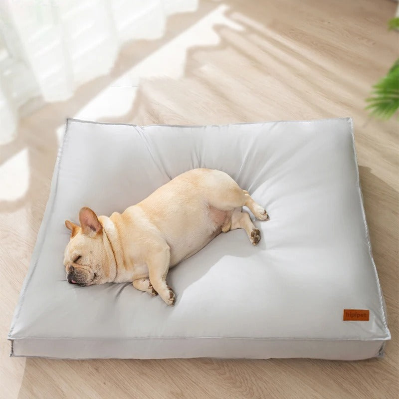 Coussin orthopédique étanche pour chien, soutien articulaire. Lavable, résistant aux griffures pour confort.
