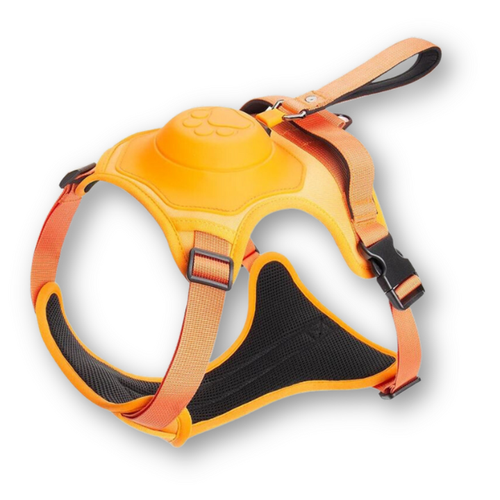 Harnais noir et laisse intégrée FlexiLead pour chien, idéal pour les promenades sécurisées et confortables.