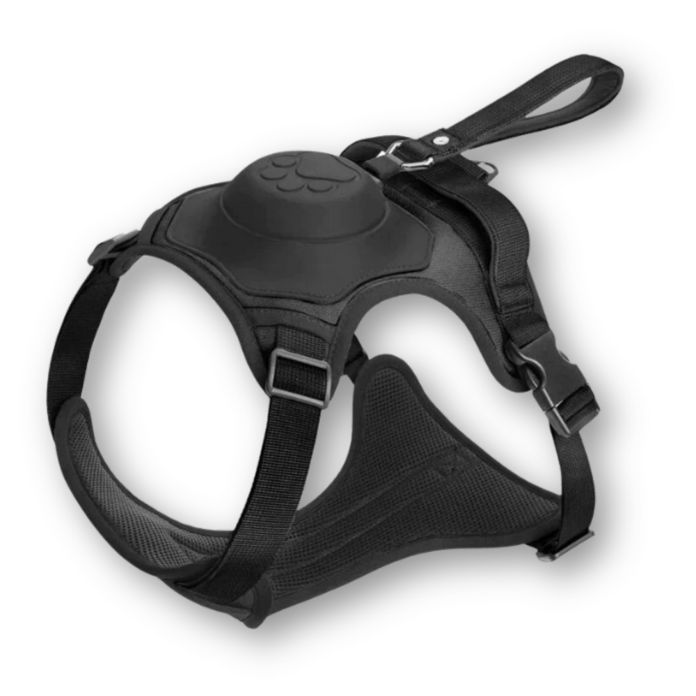 Harnais pour chien ergonomique FlexiLead avec laisse intégrée, offrant confort et sécurité pour toutes les races.