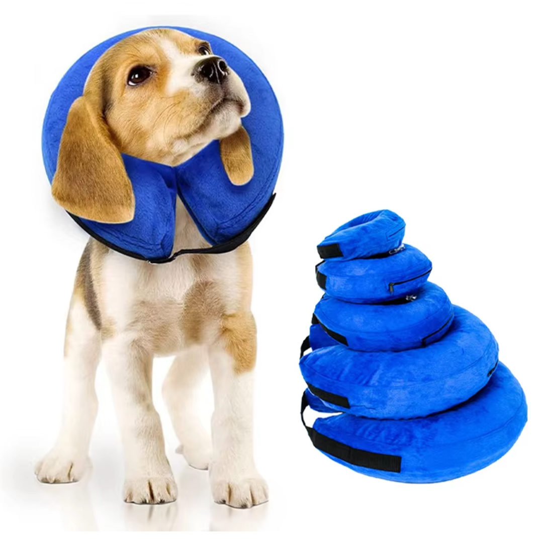 Collier gonflable doux pour chien/chat, anneau de récupération post-opératoire, confort optimal.