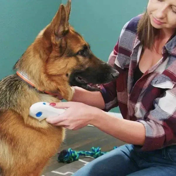 Éliminateur de puces électrique pour chiens et chats, idéal pour le toilettage et les soins antiparasitaires.