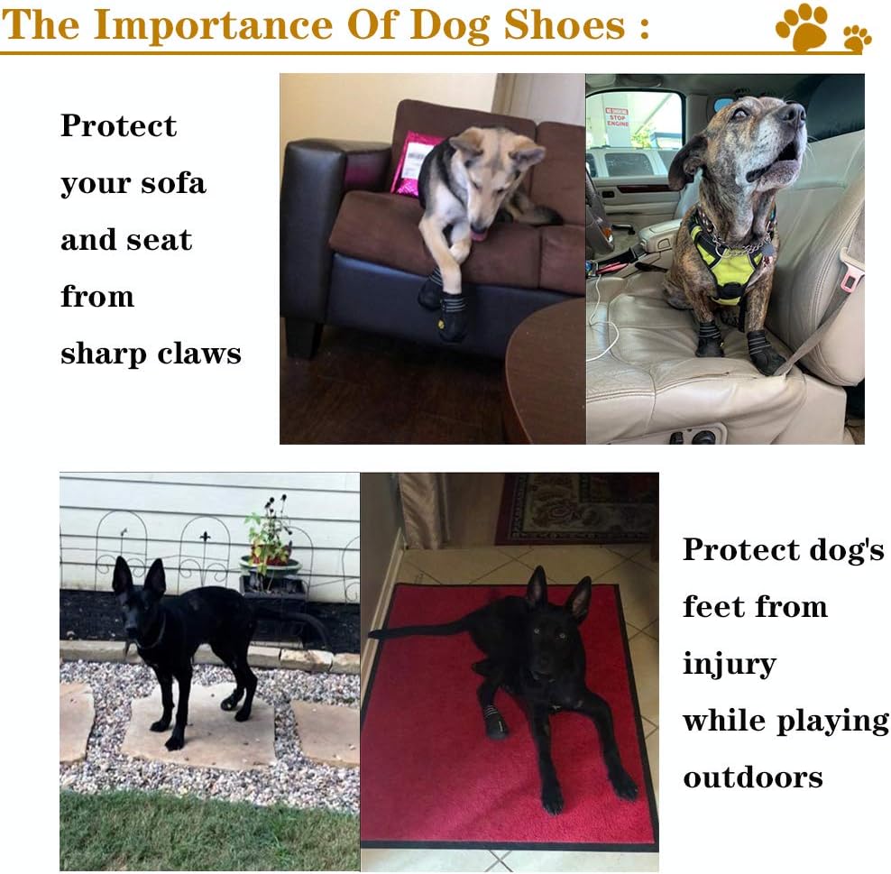 Accessoires essentiels pour chiens : bottes imperméables pour les promenades sécurisées et l'hygiène.