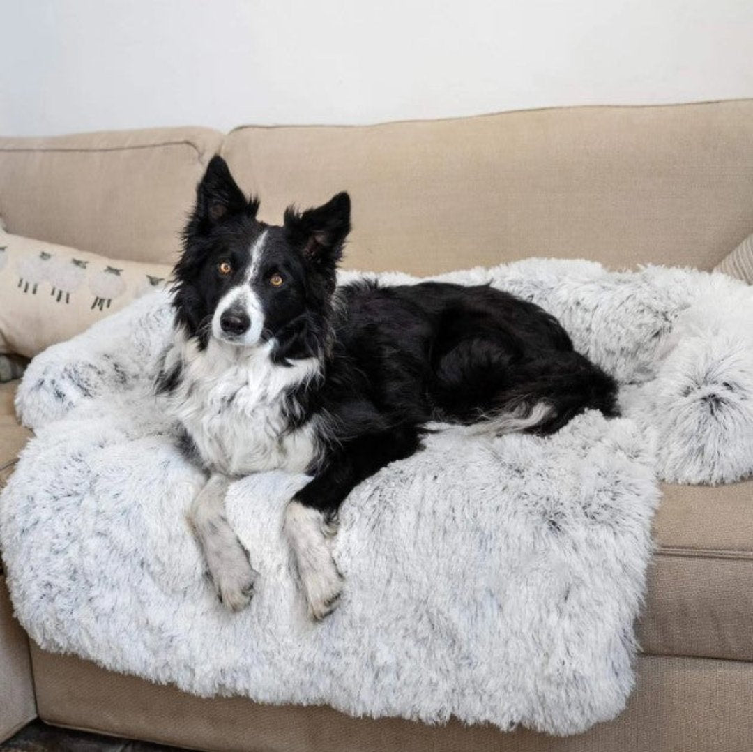 Détente canine assurée avec ce canapé de luxe, le lit douillet ultime pour chaque chien.