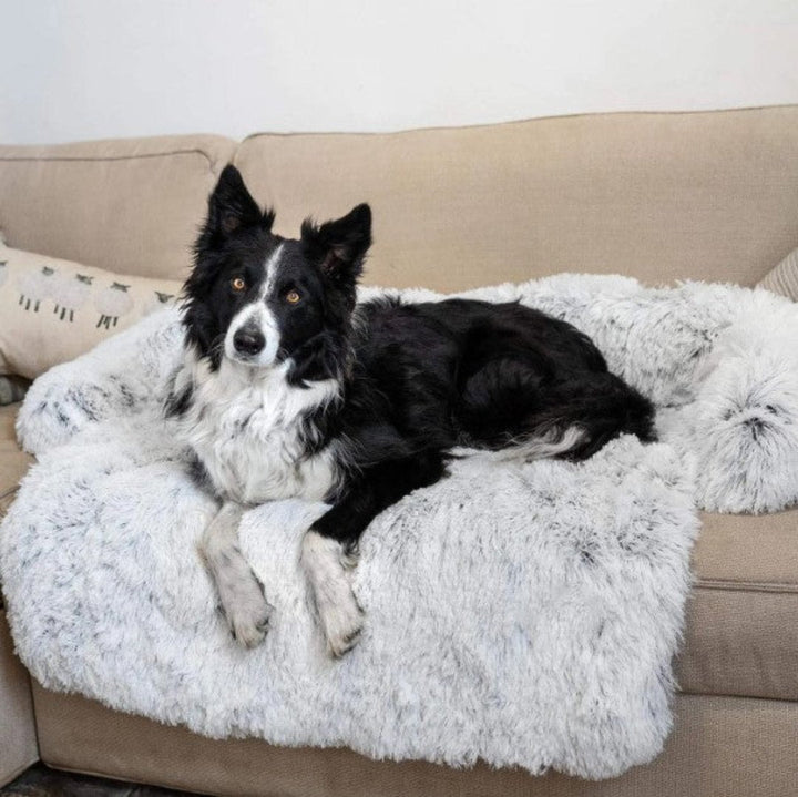 Détente canine assurée avec ce canapé de luxe, le lit douillet ultime pour chaque chien.
