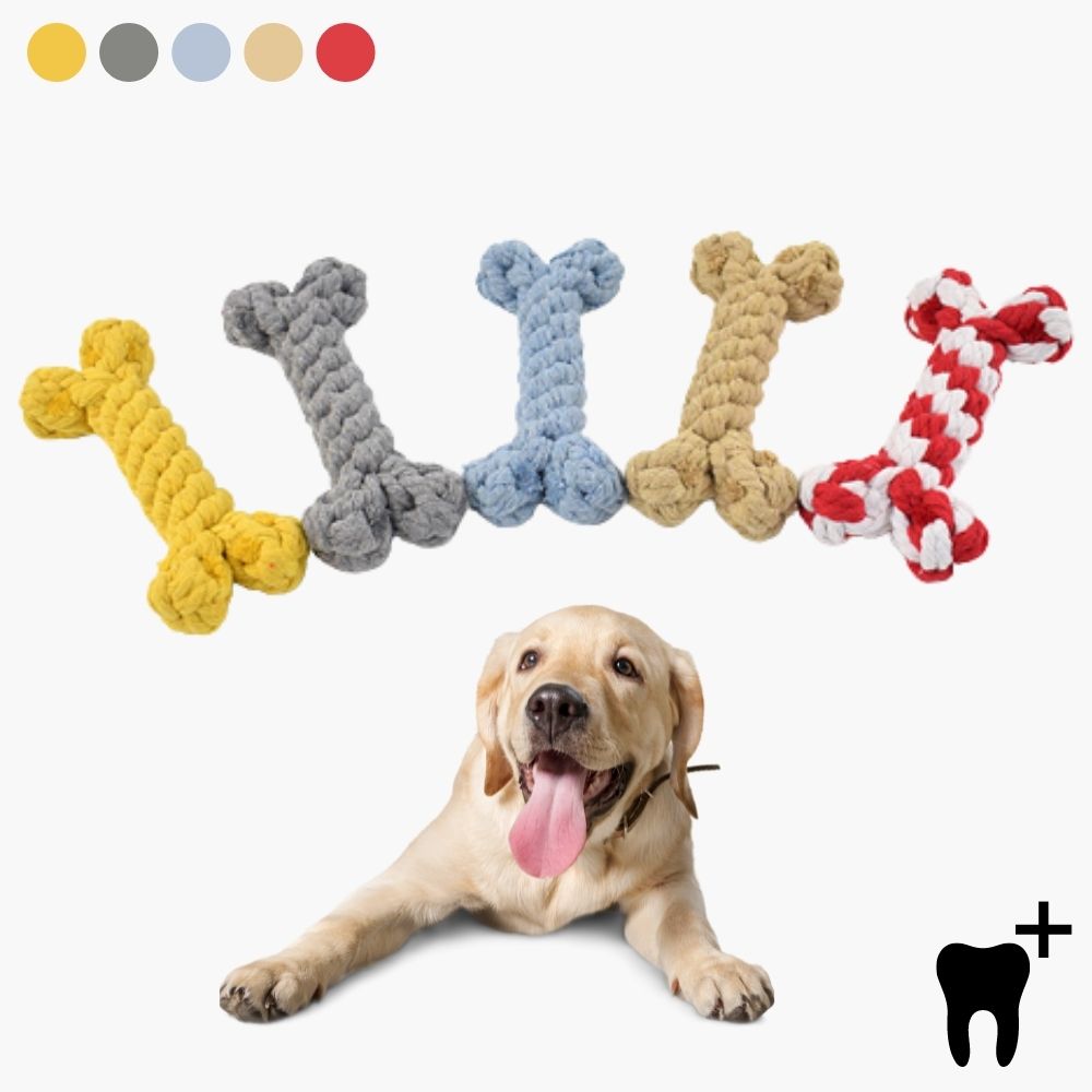 Jouet de mastication CleanChew pour chien, corde résistante pour hygiène dentaire et nettoyage des dents.