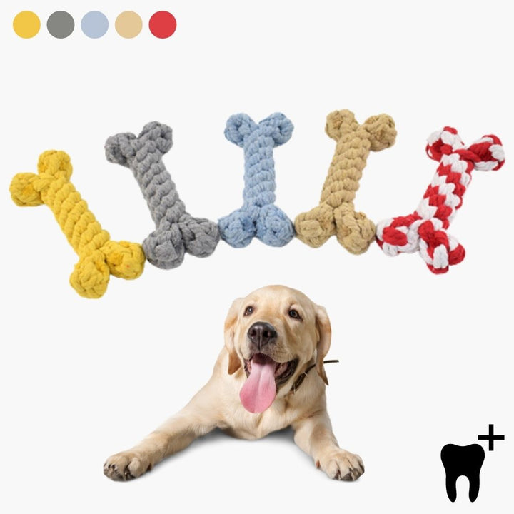 Jouet de mastication CleanChew pour chien, corde résistante pour hygiène dentaire et nettoyage des dents.
