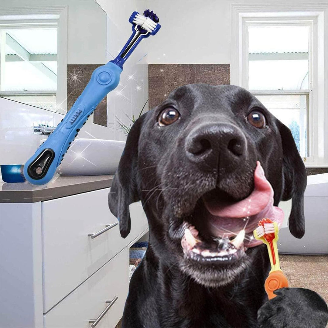 Brosse à dents animaux 3 têtes, accessoire essentiel. Hygiène dentaire optimale, anti-mauvaise haleine.
