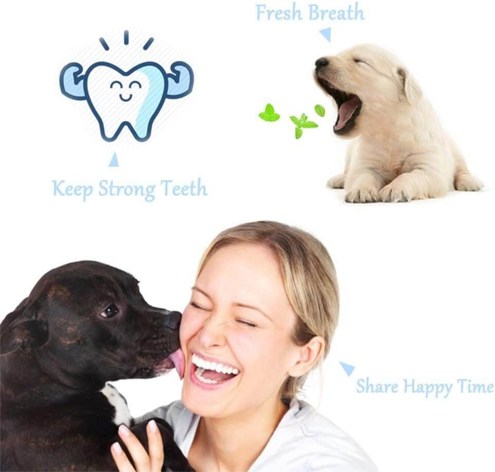 Brosse à dents trois côtés pour animaux. Soins dentaires faciles, prévient tartre et gingivite. Santé buccale.