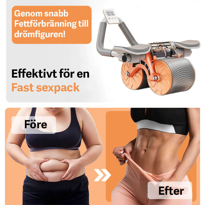 Appareil d'entraînement abdos Élite : outil essentiel pour une musculation ciblée et un ventre plat.