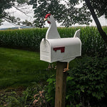 Poule