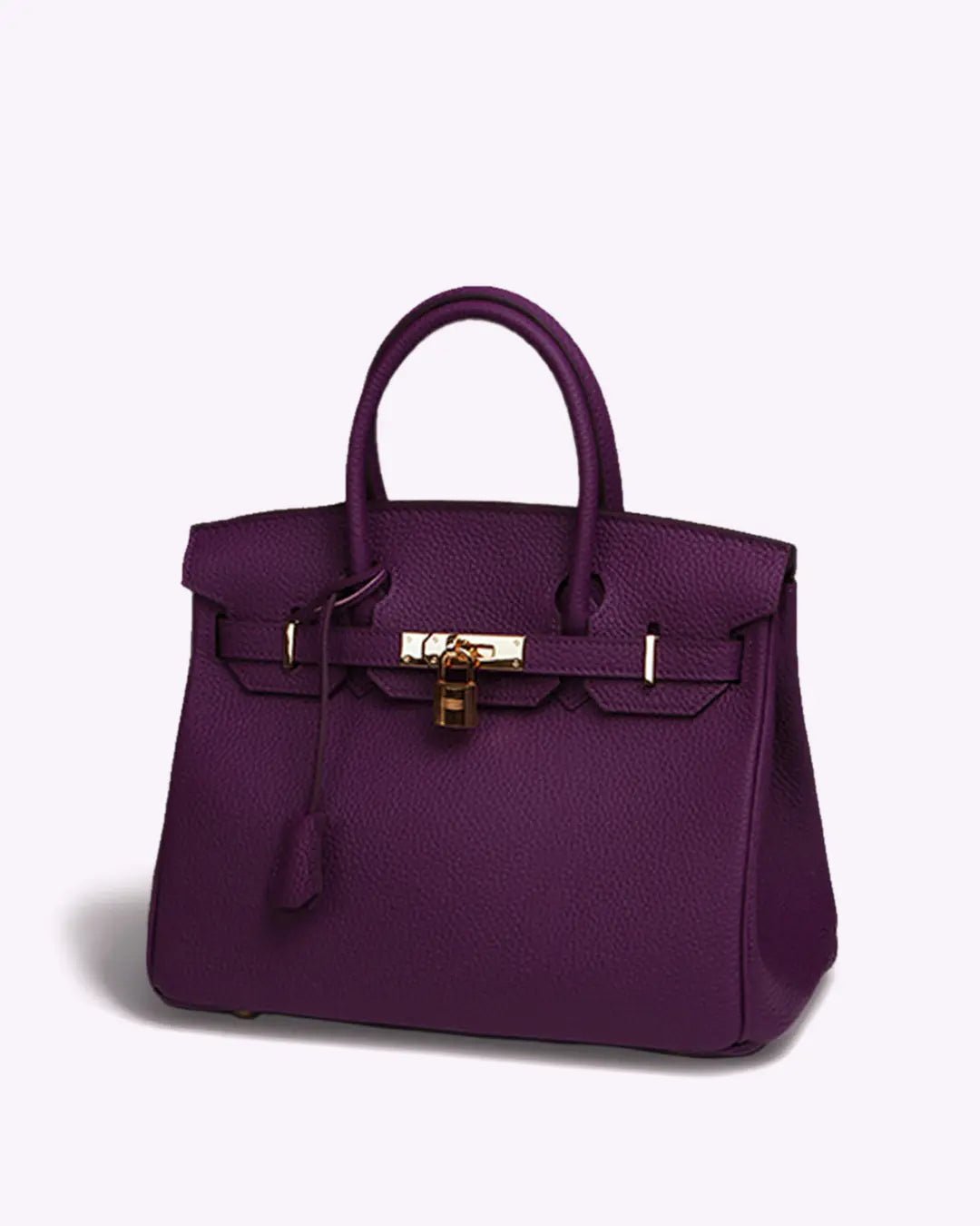 Élégant sac à main en cuir, doté de compartiments pour une organisation facile.