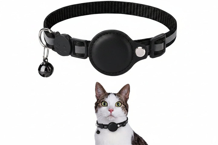 Collier chat réfléchissant ajustable, support GPS intégré, sécurité et suivi optimal.