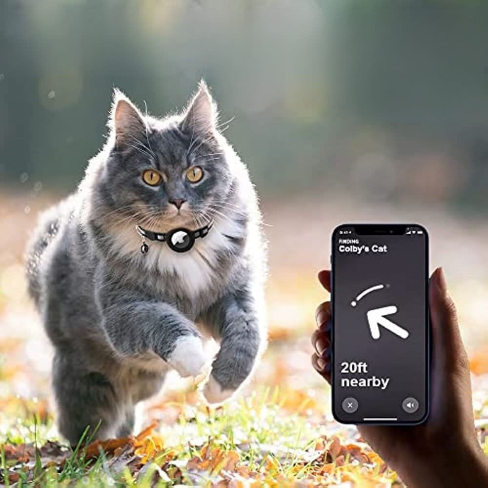 Collier chat ajustable en nylon résistant, réfléchissant, pour traceur GPS.