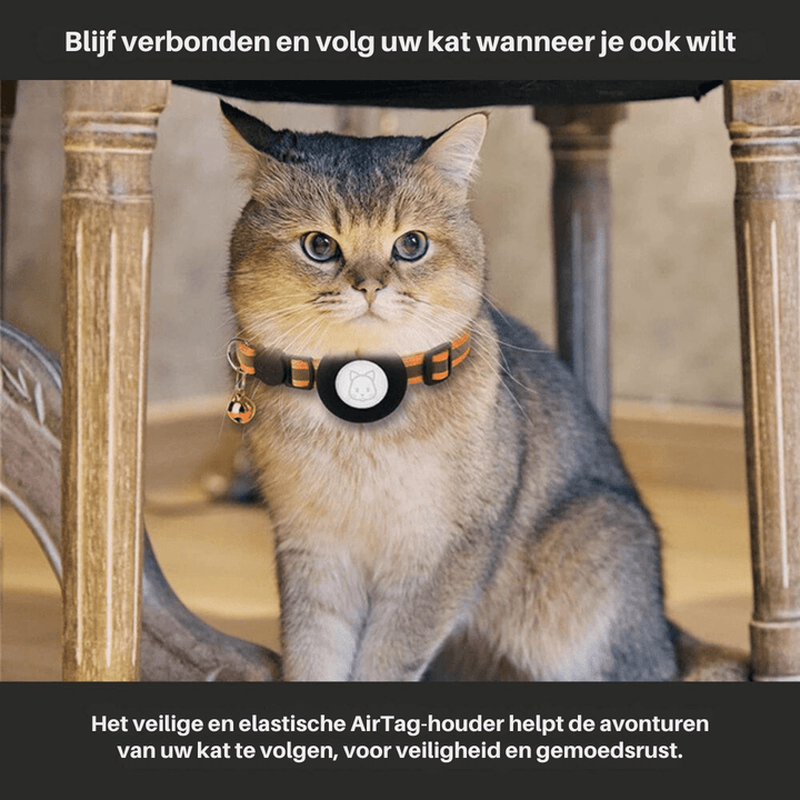 Collier chat avec support GPS pour suivi, protection réfléchissante la nuit.