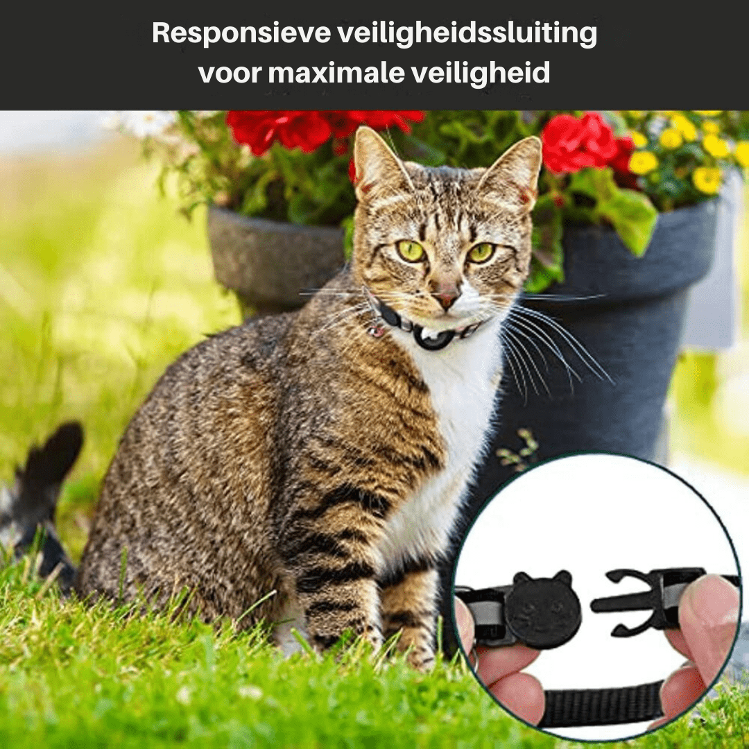 Collier chat ajustable et réfléchissant pour la sécurité, avec suivi GPS facilité.