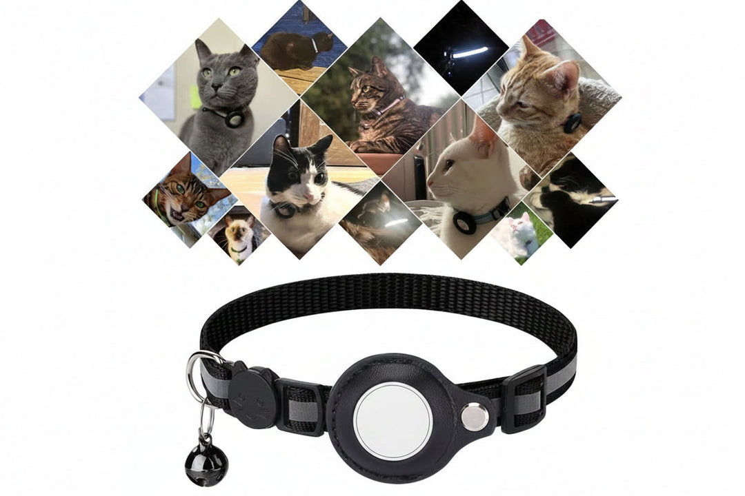 Collier chat réfléchissant pour la nuit, avec support GPS pour localiser facilement.