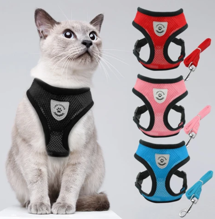 Confort optimal: harnais chat respirant, parfait pour l'aventure et les promenades.