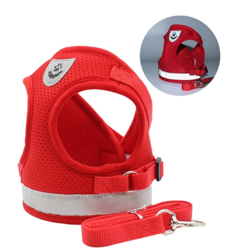 Harnais anti-stress pour chat, assure bien-être lors des promenades et prévient l'évasion.