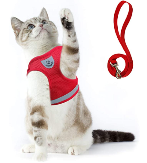 Harnais pour chat, empêche l'évasion, tissu doux et résistant pour un maximum de confort.