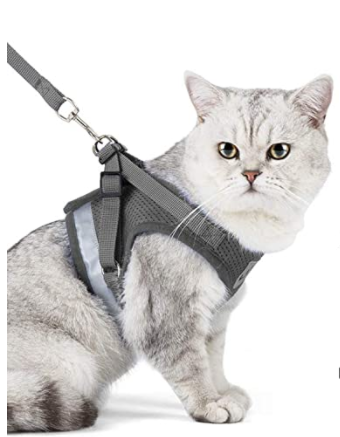 Accessoire de promenade pour chat, confortable et haute visibilité pour la sécurité extérieure.