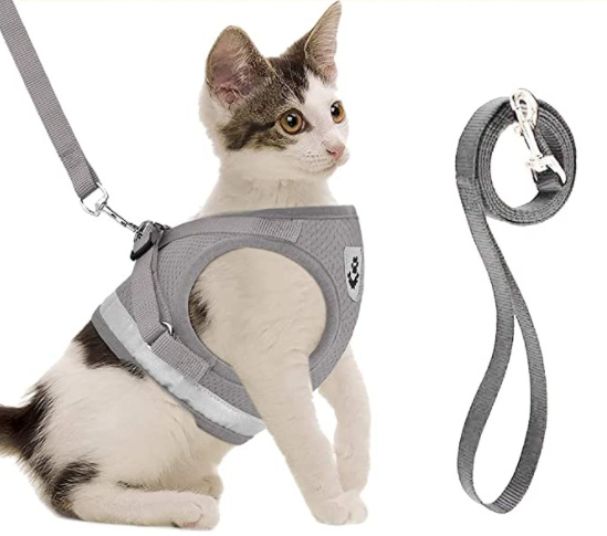 Harnais chat avec bande réfléchissante, sécurité renforcée nuit pour les promenades. Anti-évasion.