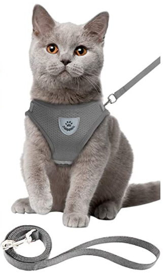 Votre chat en sécurité: harnais confort pour explorations extérieures et promenades zen.