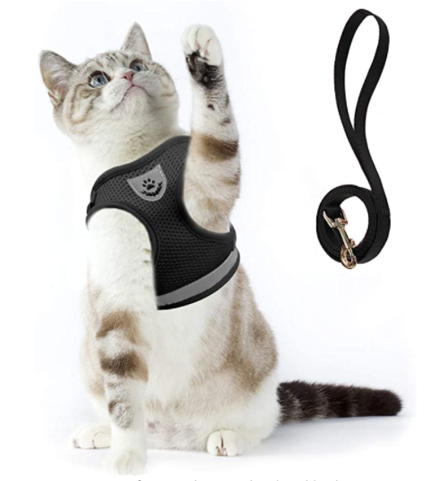 Harnais doux pour chat, idéal promenade et aventures urbaines, avec laisse intégrée.