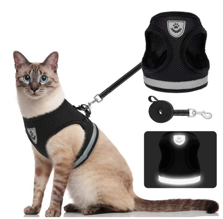 Harnais chat confortable pour promenade sécurisée en extérieur. Idéal anti-évasion et réfléchissant.