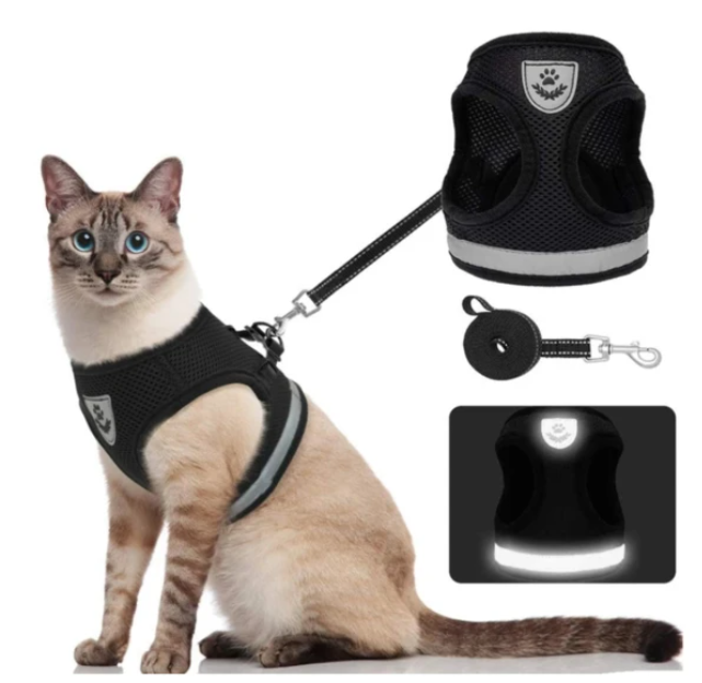 Promenade zen: harnais chat léger et confortable, avec attache laisse, pour extérieur.