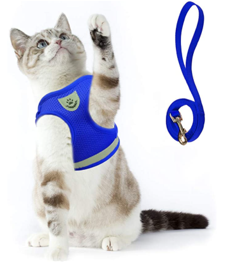 Harnais de luxe pour chat, avec détails réfléchissants et système anti-fuite, grand confort.