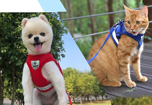 Accessoire chat: harnais de sécurité respirant pour promenades extérieures sereines.
