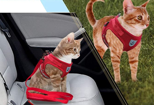 Harnais réglable pour chat, assure confort et sécurité pour toutes vos sorties à l'extérieur.