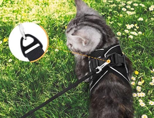 Kit harnais + laisse pour chat, anti-évasion et visible la nuit grâce à ses éléments réfléchissants.