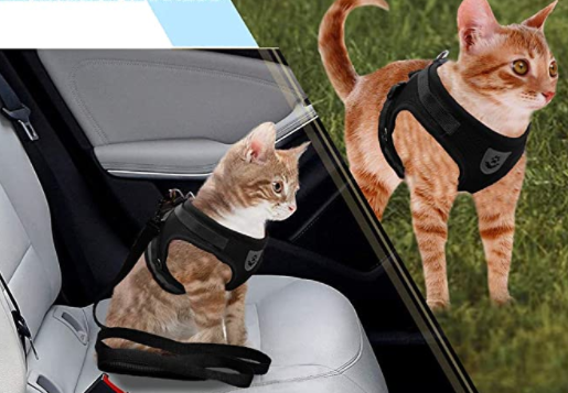 Harnais de promenade pour chat, design confortable et sécurisé pour l'exploration.