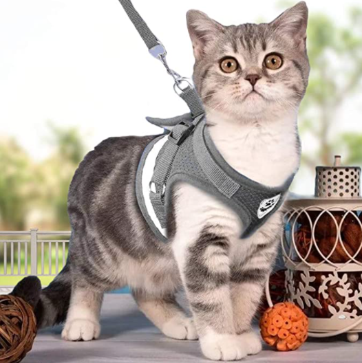 Sangle de sécurité pour chat, réfléchissante et douce pour la peau, parfaite pour l'extérieur.