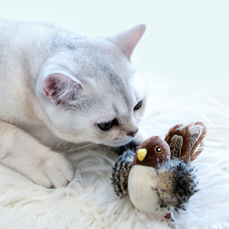 Un chat s'apprête à attraper un jouet interactif à plumes avec des sons stimulants.