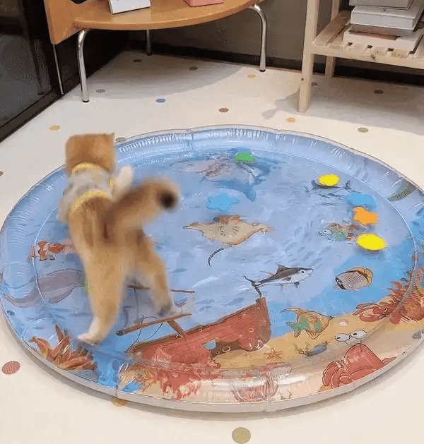 Accessoire bien-être : tapis de jeu pour chat, réduisant le stress et l'ennui. Favorise la stimulation mentale.