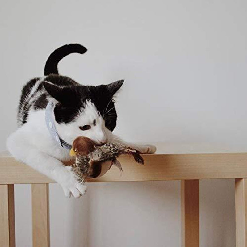 Stimulation intense : jouet interactif pour chat avec plumes naturelles et sons captivants de proie.