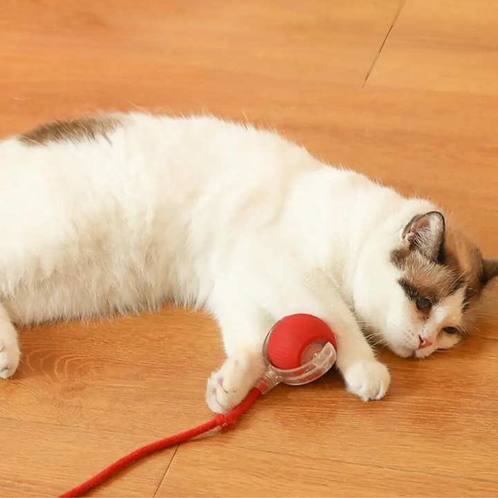 Balle de stimulation énergétique pour chat, jouet interactif anti-ennui, garantit bien-être animal.