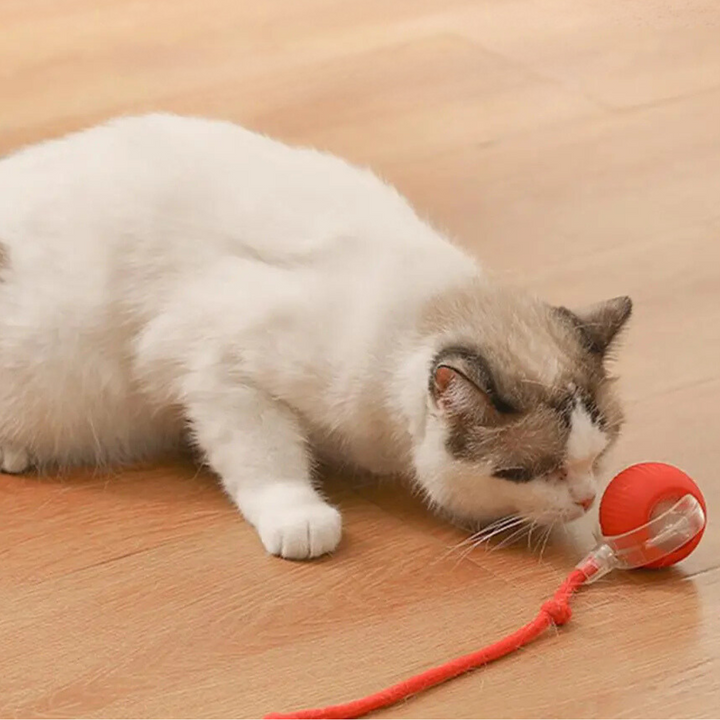Balle interactive stimulante pour chat, favorise l'instinct de chasse et combat l'ennui du félin.