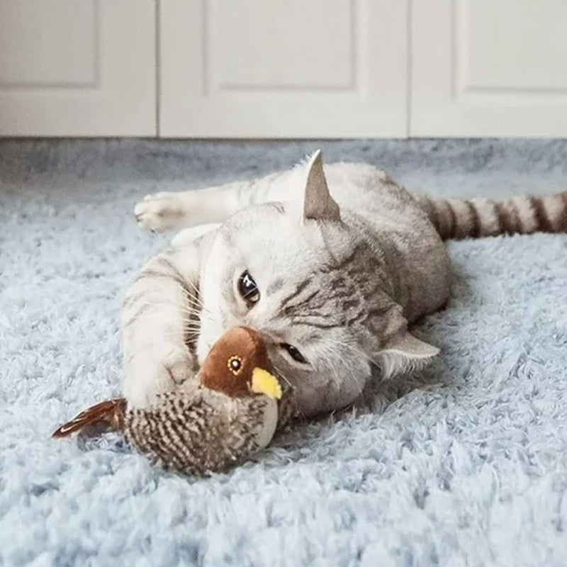 Un chaton curieux découvrant un jouet interactif à plumes et sons, stimulant son instinct.