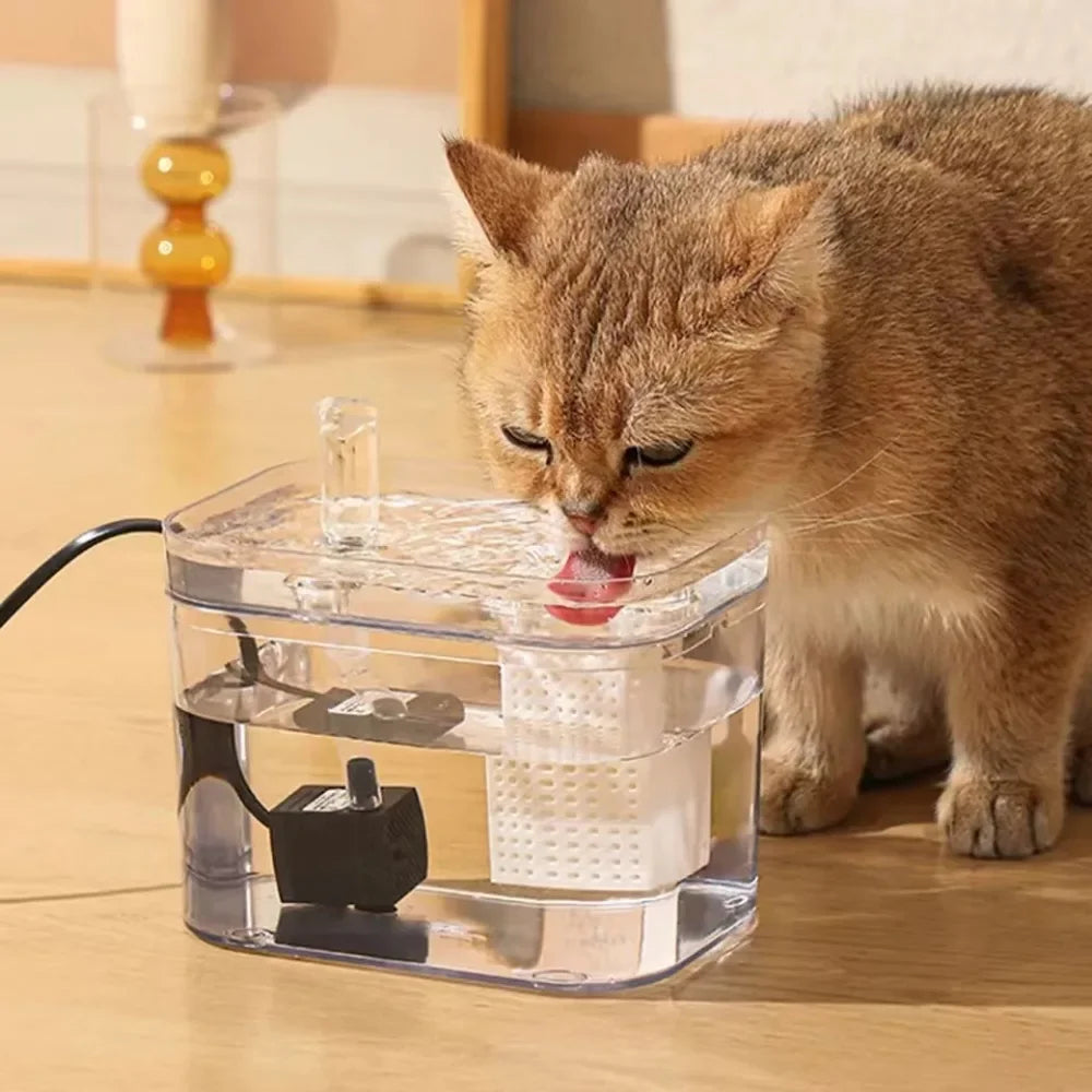 Fontaine à eau silencieuse et filtrée pour animaux. Assure l'hydratation saine de votre chat ou chien.