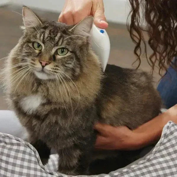 Peigne électrique antiparasitaire pour animaux, efficace contre les puces des chiens et chats. Pour un bien-être optimal.